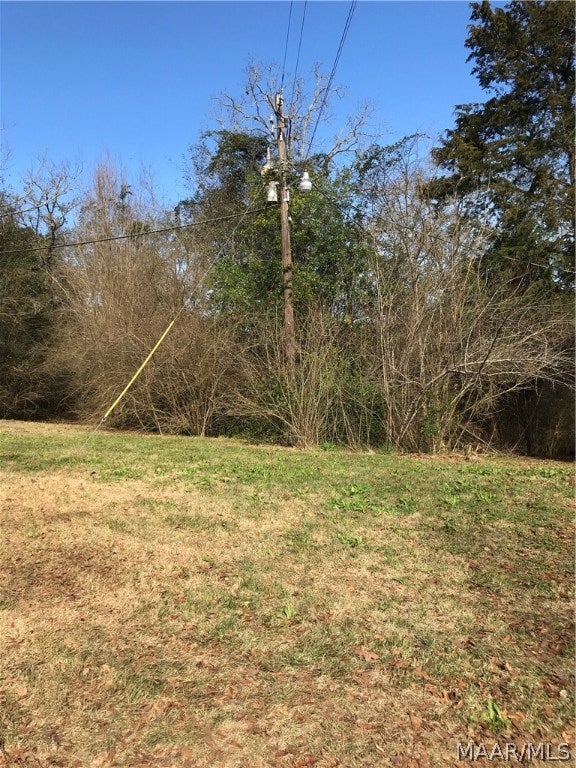 276 Wicksburg Road Newton, AL 36352 - Photo 31 of 36 Gallery Image 31