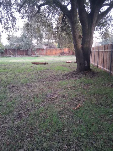 a view of outdoor space with trees