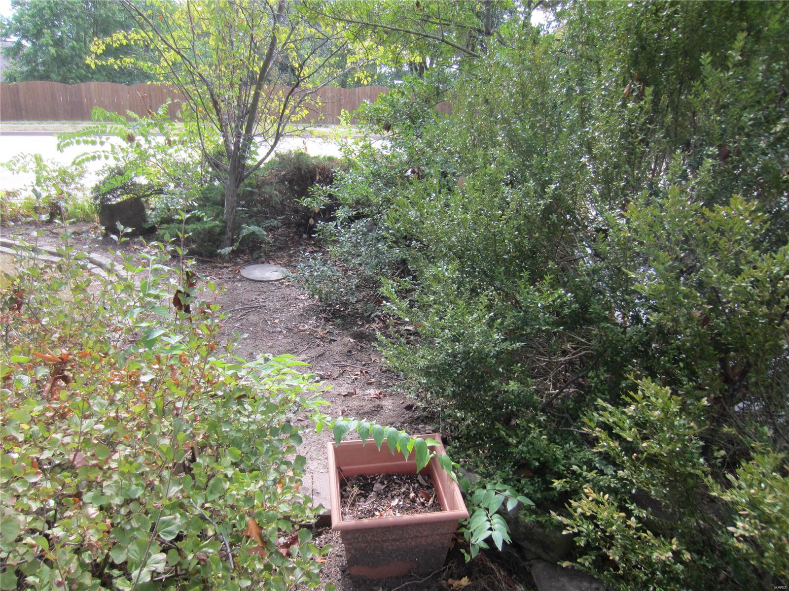 951 Feise Road O'Fallon, MO 63366 - Photo 46 of 46