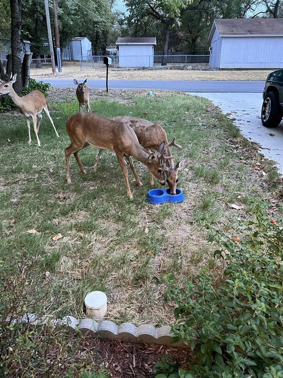 905 Poe Street Azle, TX 76020 - Photo 6 of 30 a view of a backyard with table and chairs potted plants
