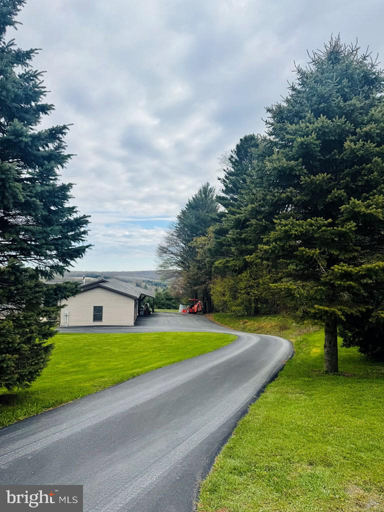 69 Sky Top Road Coudersport, PA 16915 - Photo 6 of 39