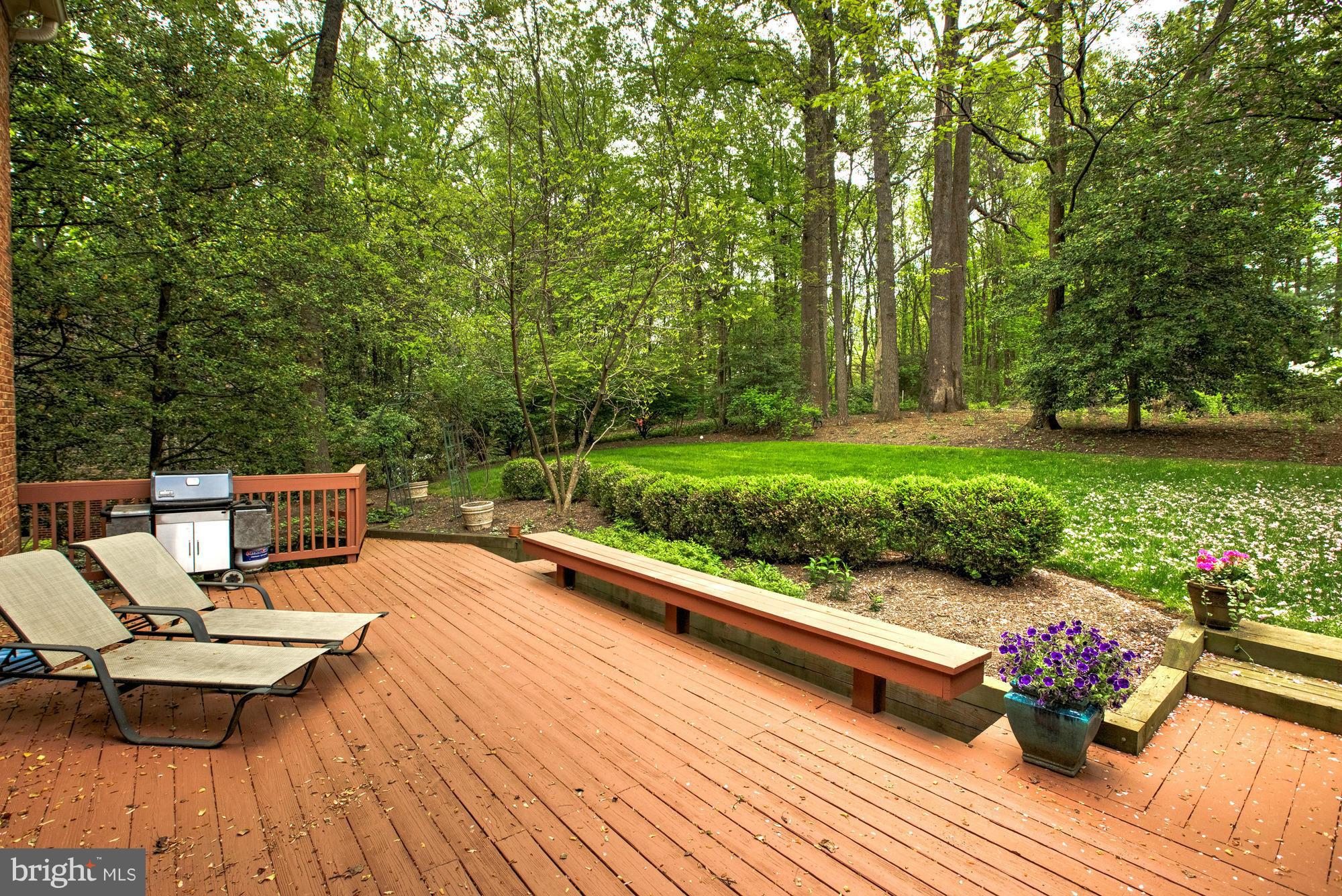 1111 Old Cedar Road McLean, VA 22102 - Photo 28 of 30 Deck