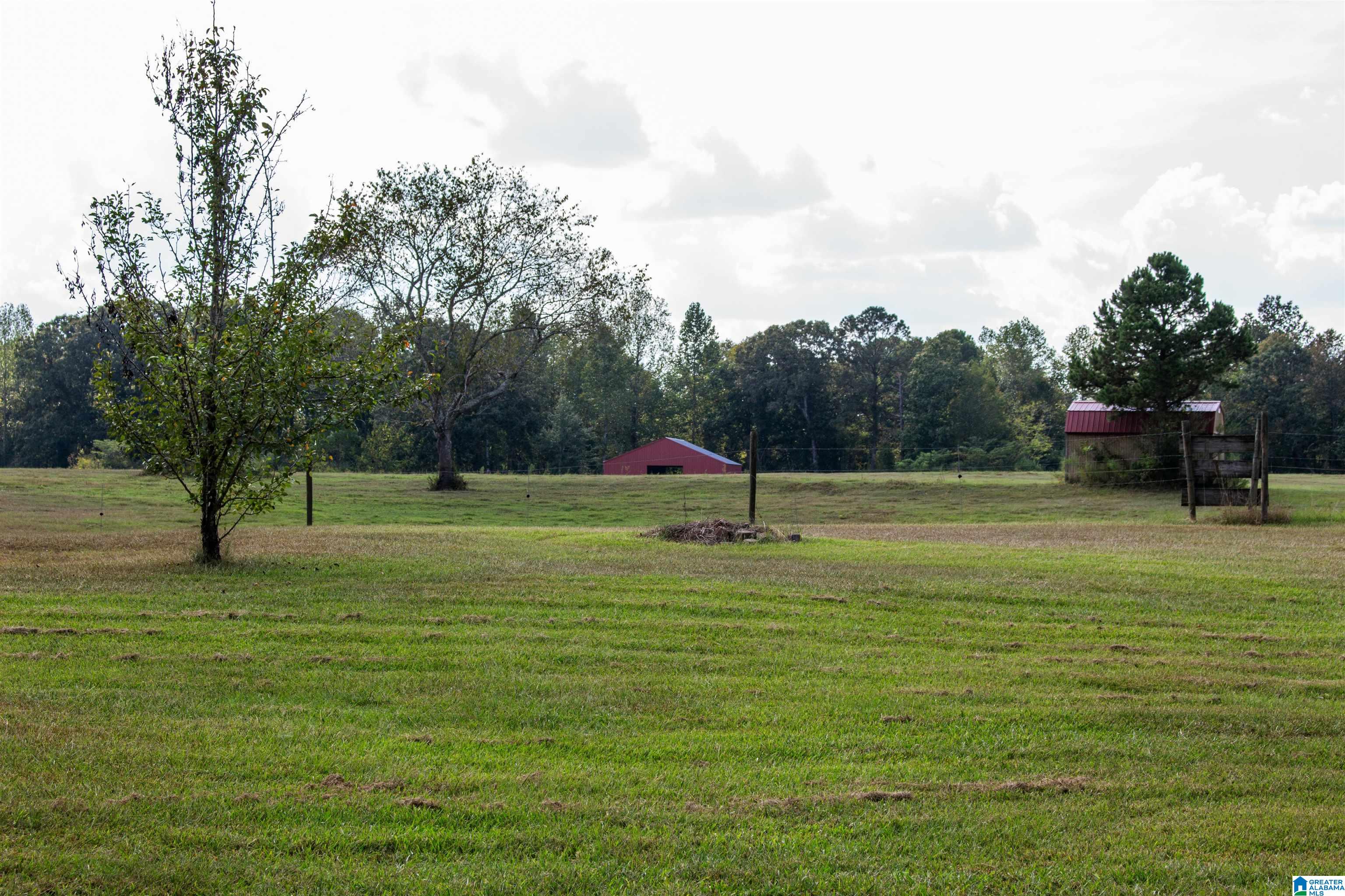 1417 Steve Crowder Road Bessemer, AL 35023 - Photo 6 of 27