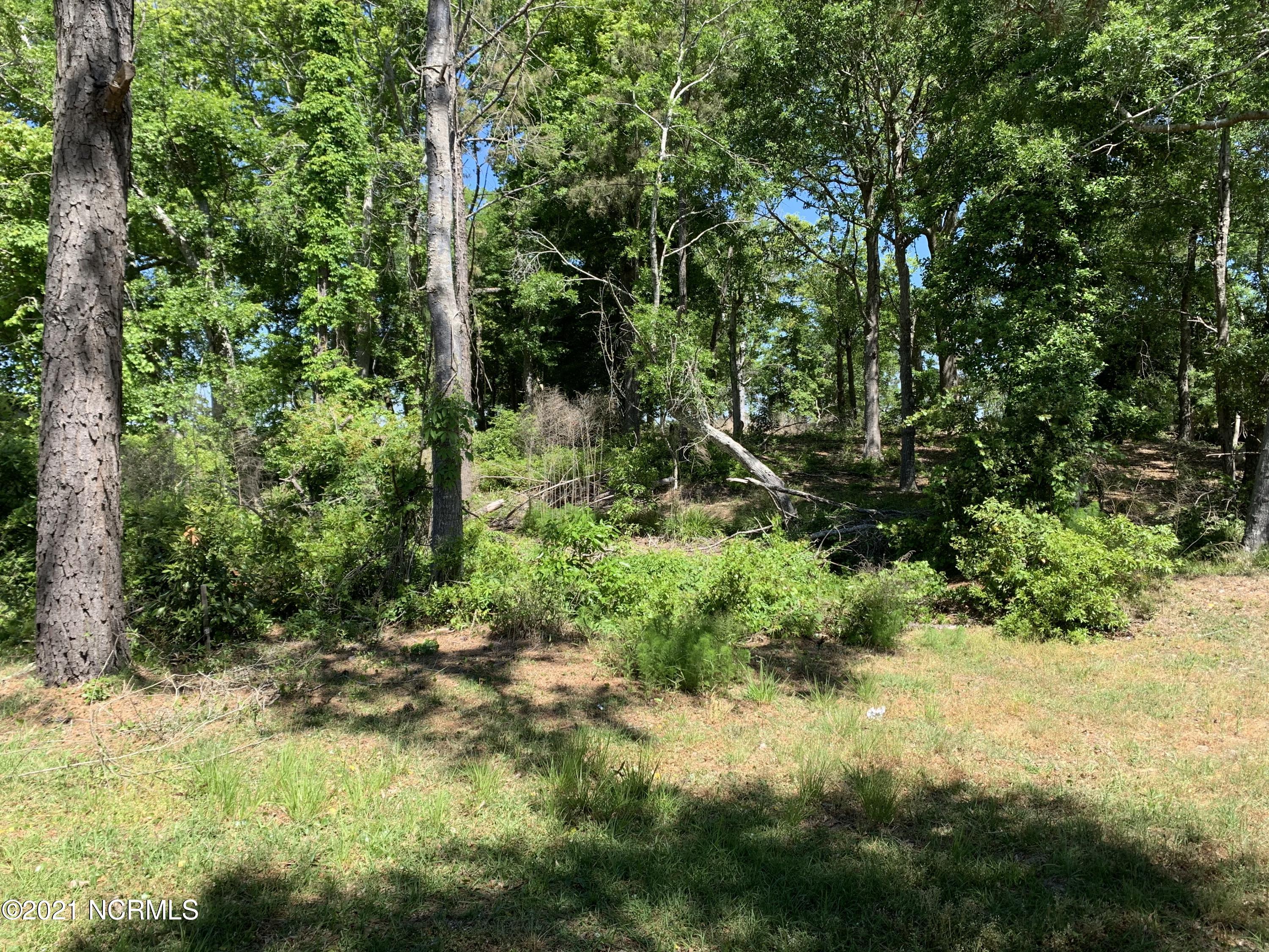 10512 Coast Guard Road Emerald Isle, NC 28594 - Photo 11 of 25 Clearing at Front