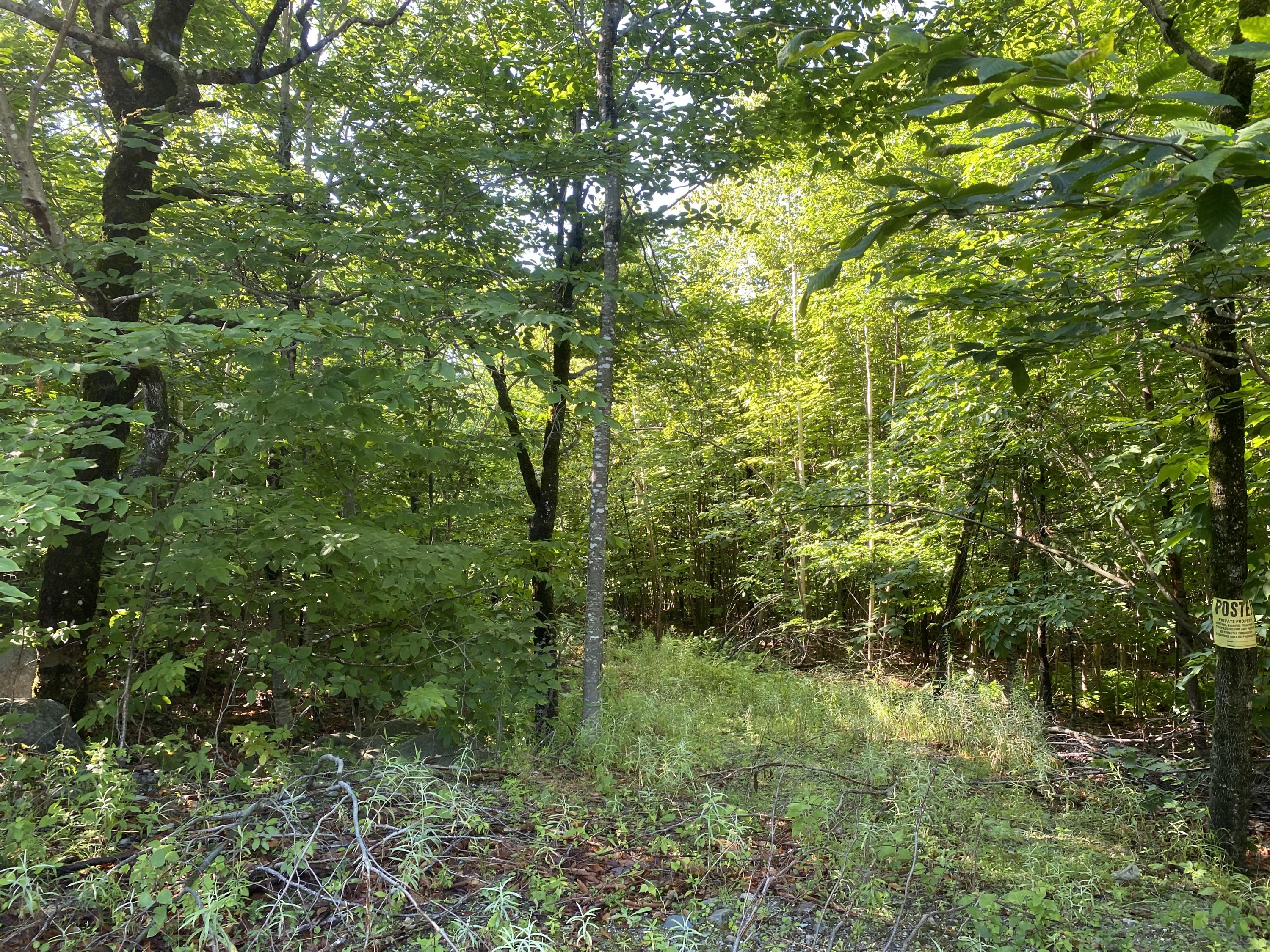 Lot 25 Ledge Road Dover-Foxcroft, ME 04426 - Photo 6 of 10 E47A703B-5934-4F29-AFA5-DF252780F4B5