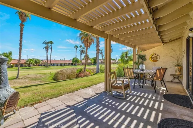 a view of a bunch of trees in a patio