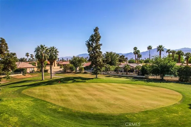 a view of a street with a tree