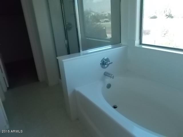 4412 West Alta Vista Road Laveen, AZ 85339 - Photo 22 of 24 DSCN7694