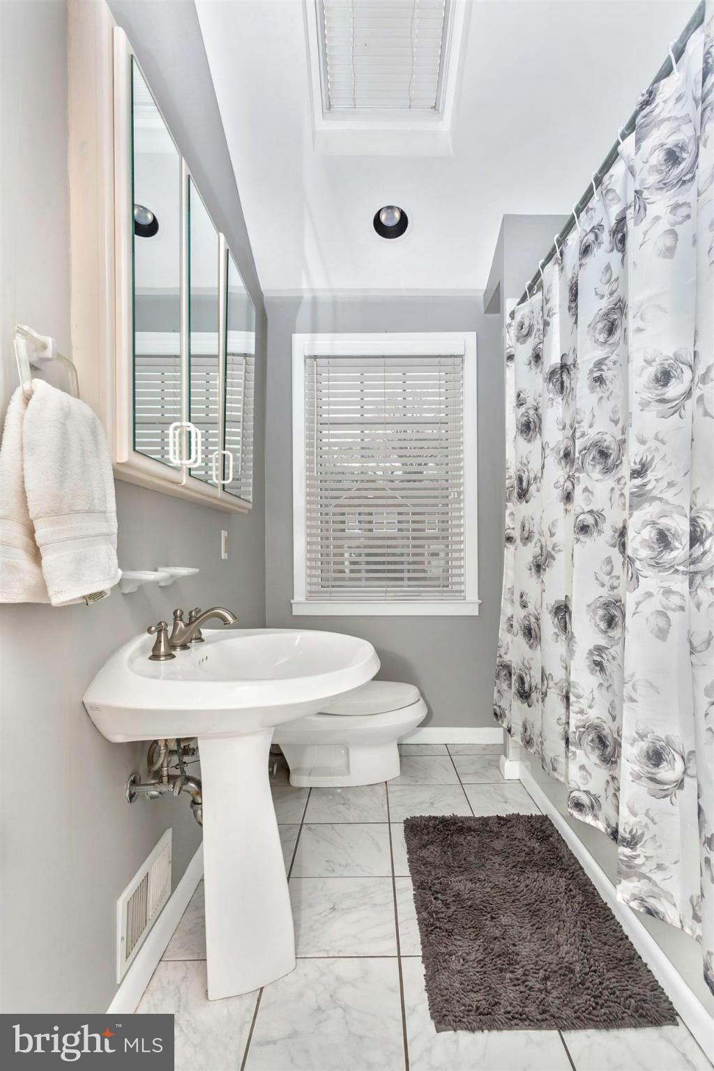 172 Stanmore Road Baltimore, MD 21212 - Photo 22 of 30 a bathroom with a sink a toilet and shower