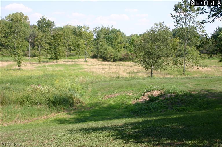 6391 Beach Road Wadsworth, OH 44281 - Photo 3 of 9 Gallery Image 3