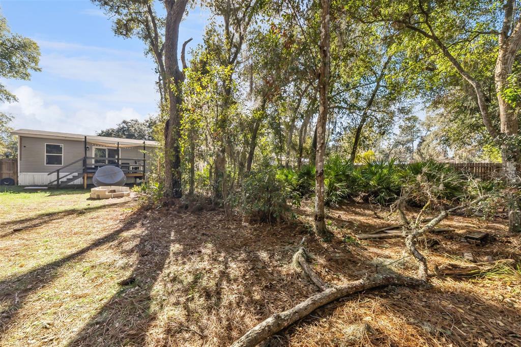 231 Tropic Avenue Satsuma, FL 32189 - Photo 23 of 28 a view of swimming pool from a yard