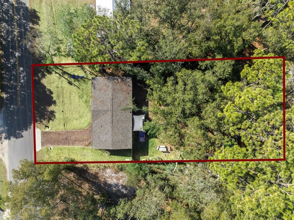 231 Tropic Avenue Satsuma, FL 32189 - Photo 27 of 28 front view of a house with a tree
