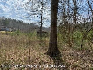 419 Hidden Cove Loop Jasper, AL 35503 - Photo 1 of 1 Gallery Image 1