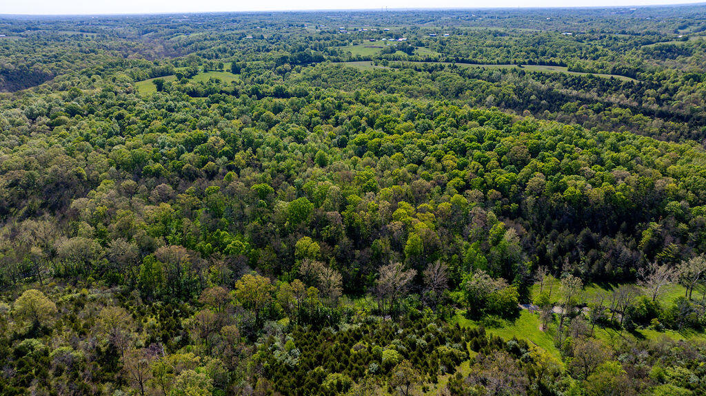 2300 Taft Highway Dry Ridge, KY 41035 - Photo 17 of 31