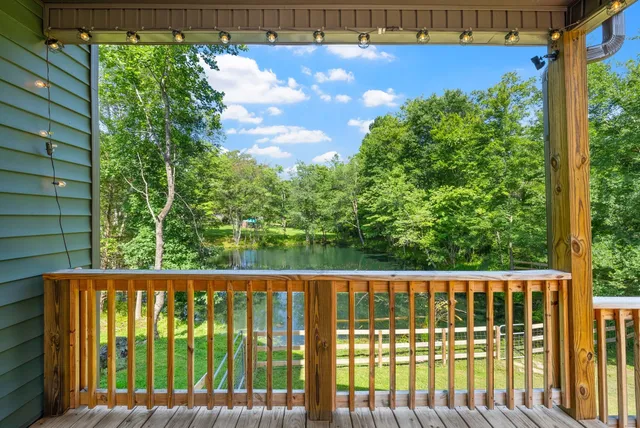 a view of a garden with a tree