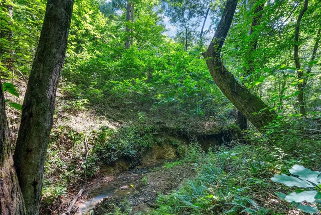 $719,999 | 1415 Southside Road, Southside, TN 37171