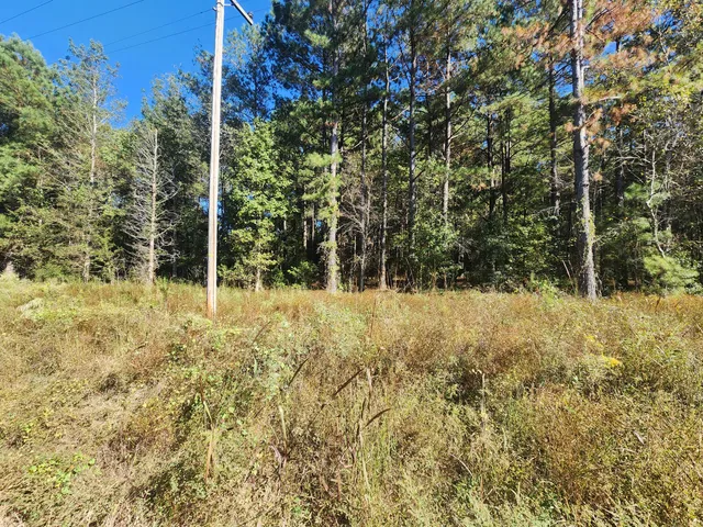 $26,000 | 0 Ordie Road, Reevesville, SC 29471