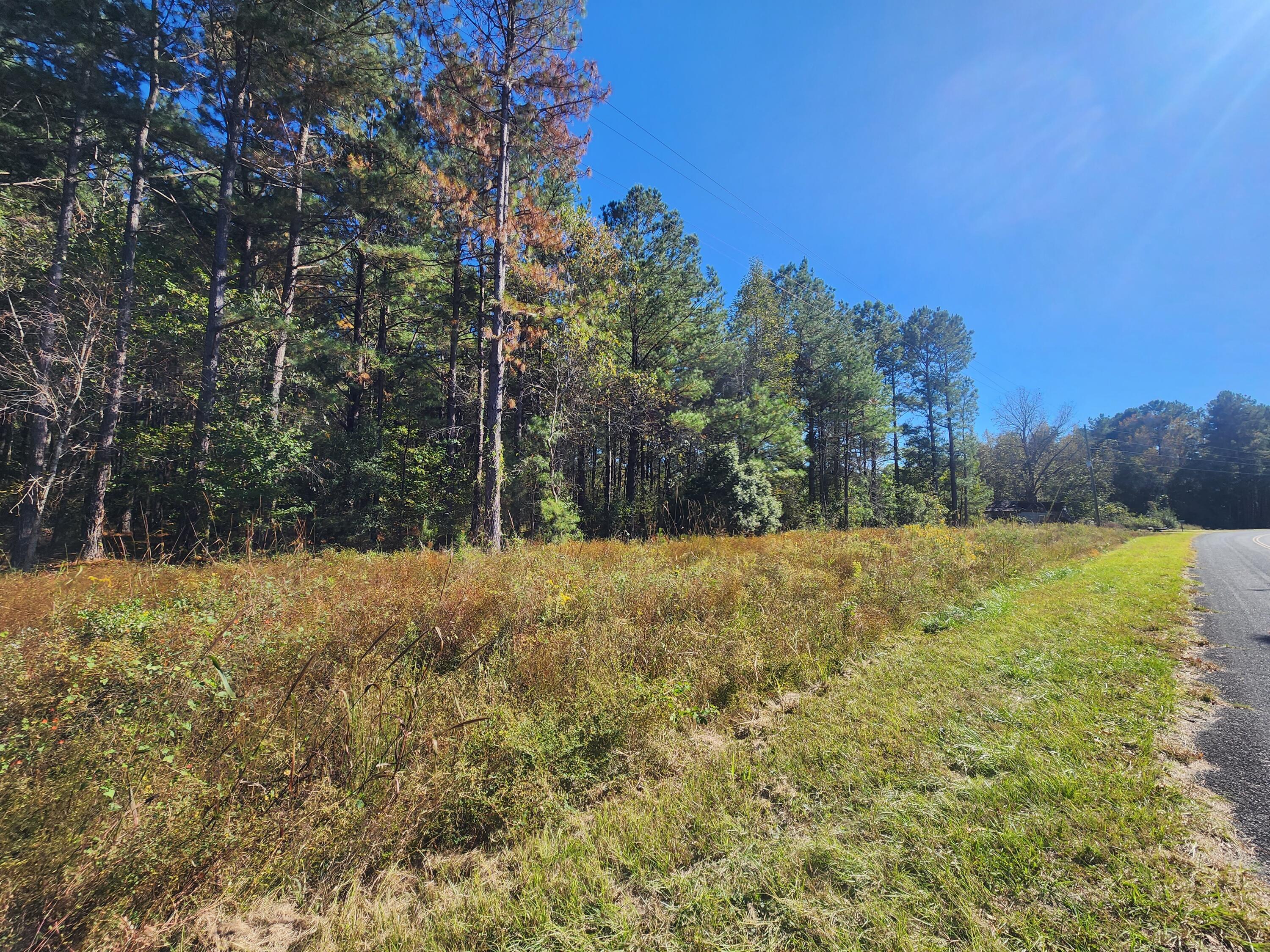 0 Ordie Road Reevesville, SC 29471 - Photo 3 of 6 20221018_151034
