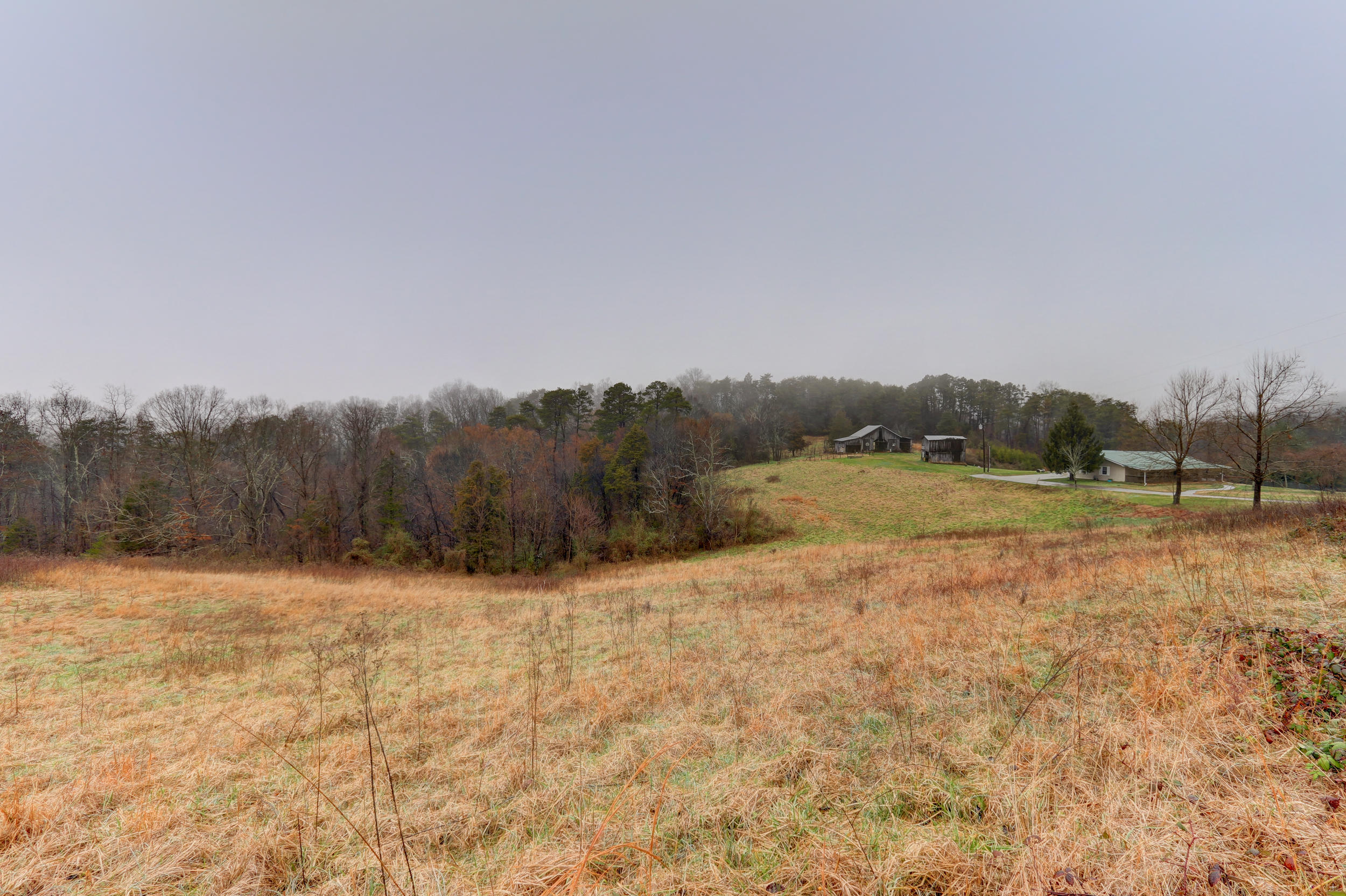622 Chestnut Grove Road Dandridge, TN 37725 - Photo 23 of 24 622 Chestnut Grove Rd