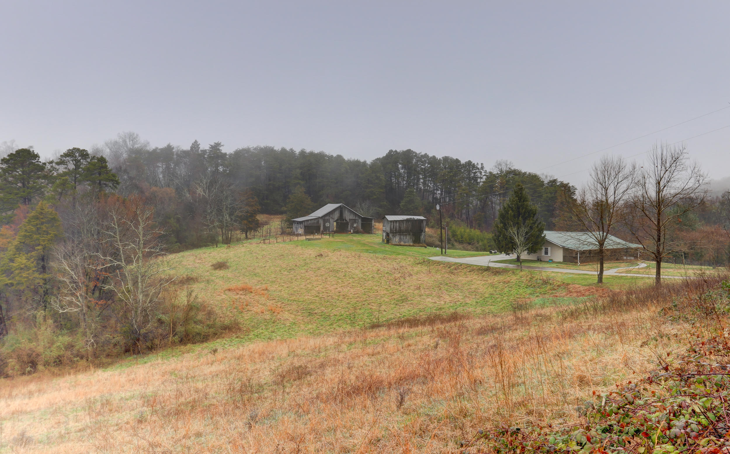 622 Chestnut Grove Road Dandridge, TN 37725 - Photo 4 of 24 622 Chestnut Grove Rd