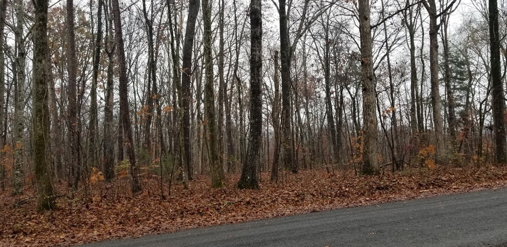 0 Coleman Road Decatur, TN 37322 - Photo 3 of 14 Gallery Image 3