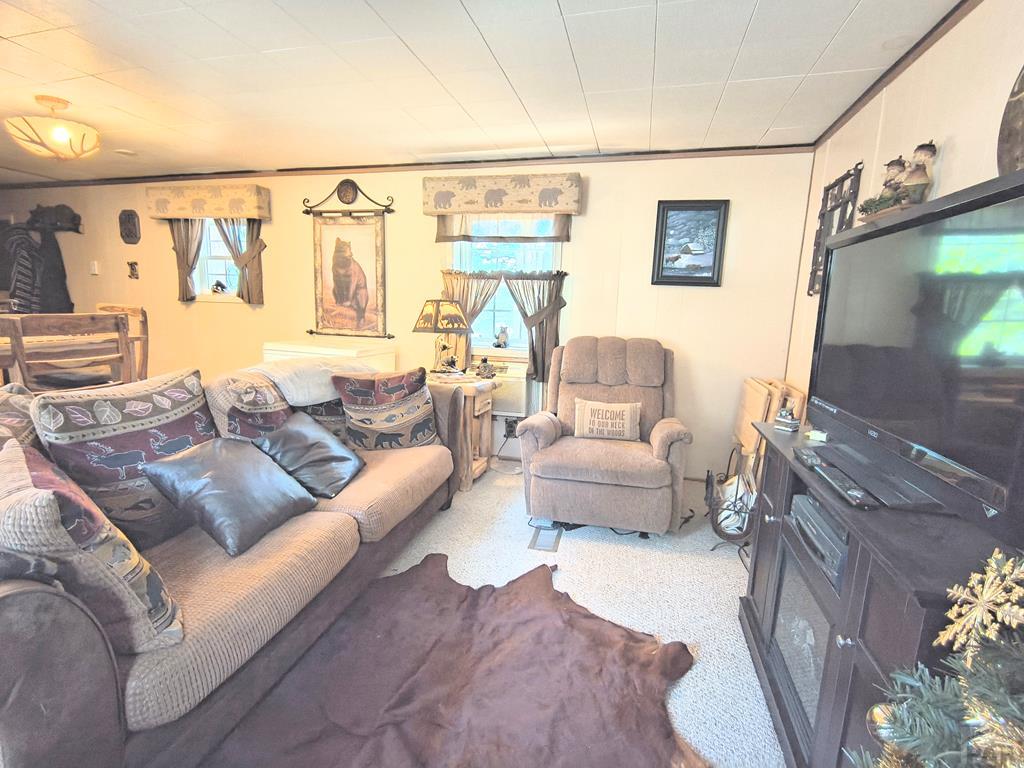 10594 Charles Lane Rye, CO 81069 - Photo 9 of 14