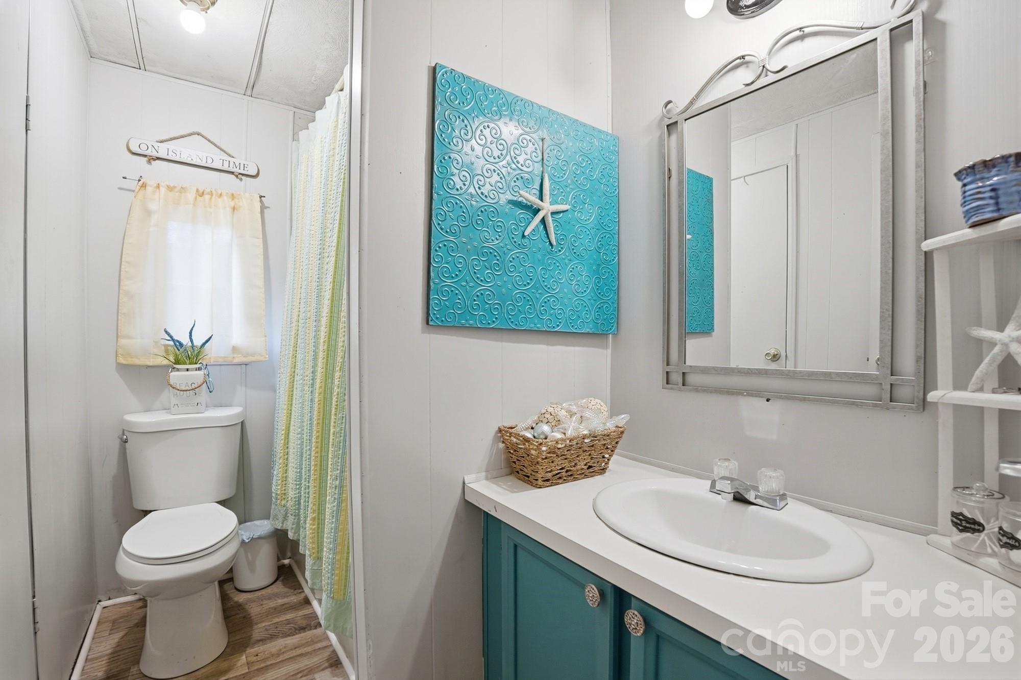 343 Carr Road Dallas, NC 28034 - Photo 19 of 22 a bathroom with a toilet a sink and mirror