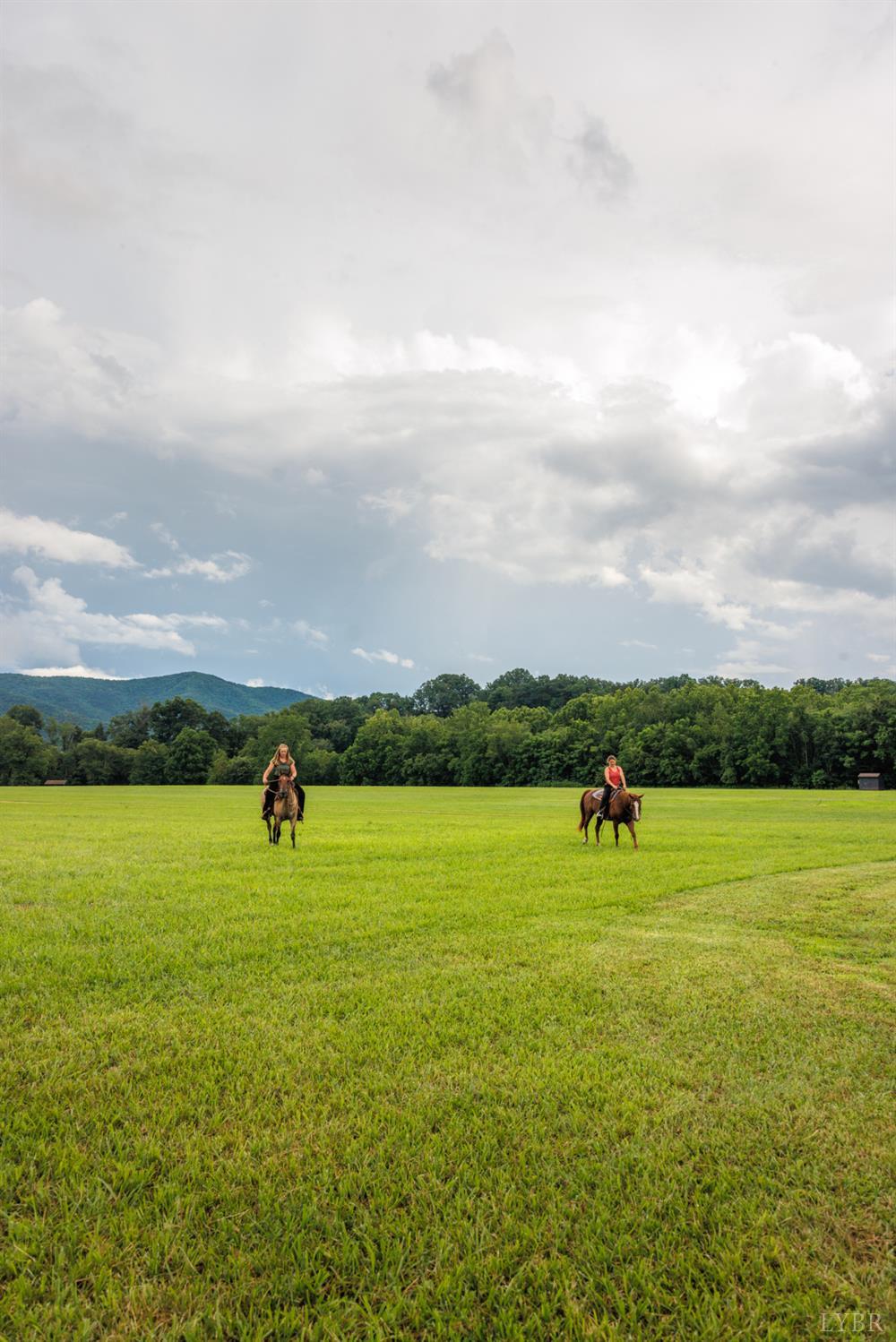 0 41 News Road Eagle Rock, VA 24085 - Photo 12 of 51 a view of three and a lake