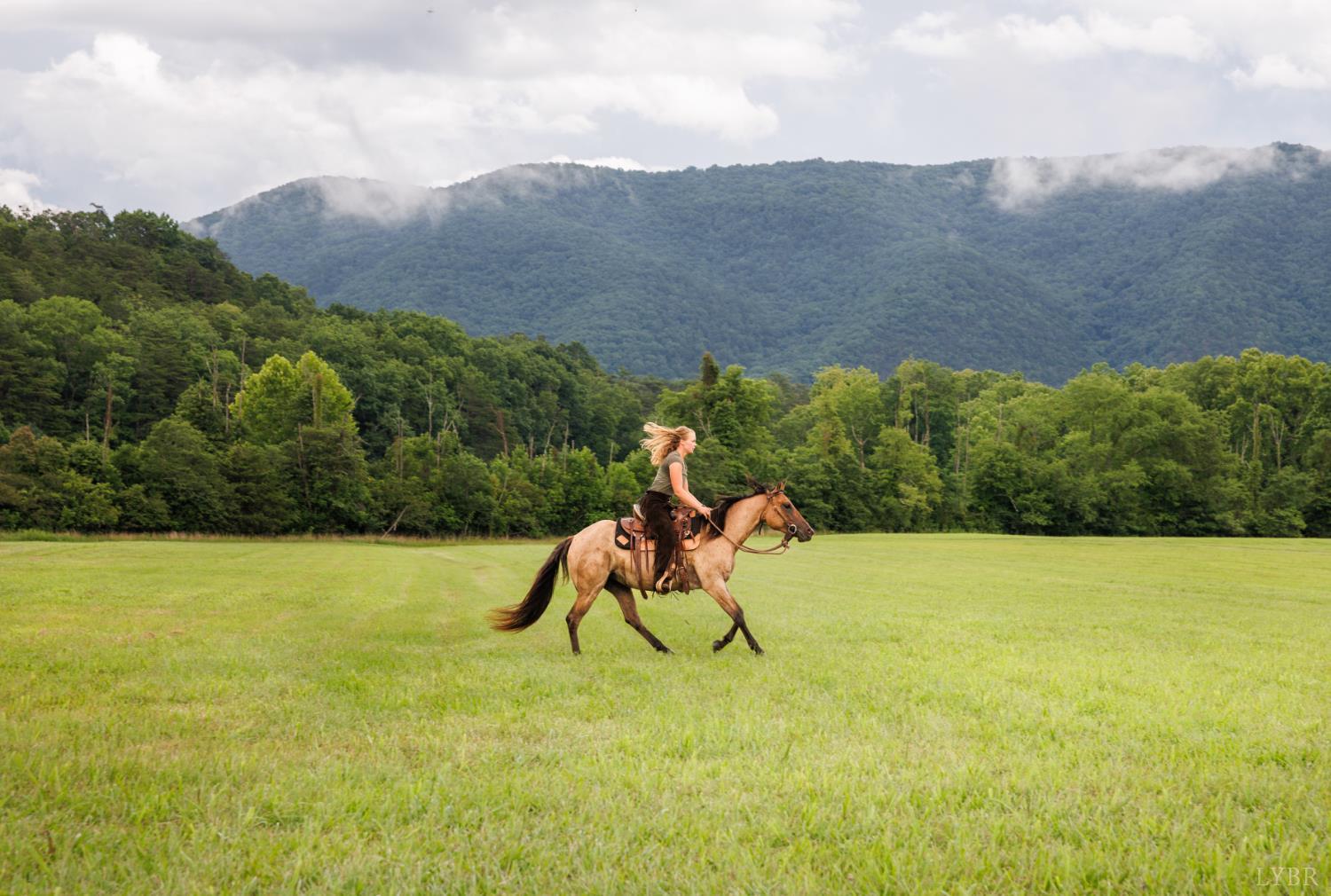 0 41 News Road Eagle Rock, VA 24085 - Photo 14 of 51 a swimming pool with mountain view