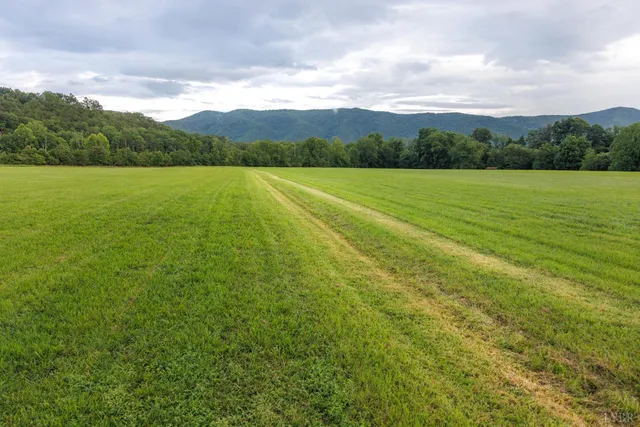a view of a lake with houses in the back