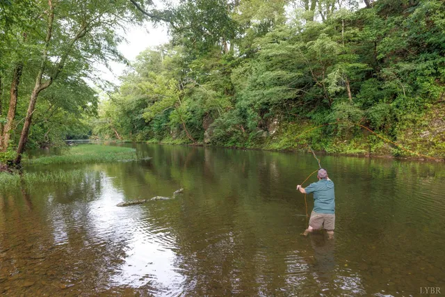 a view of yard from a tree