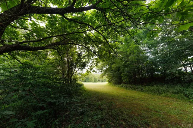 a view of an outdoor space and a yard
