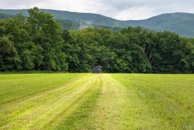 a fire hydrant in middle of the middle of a field