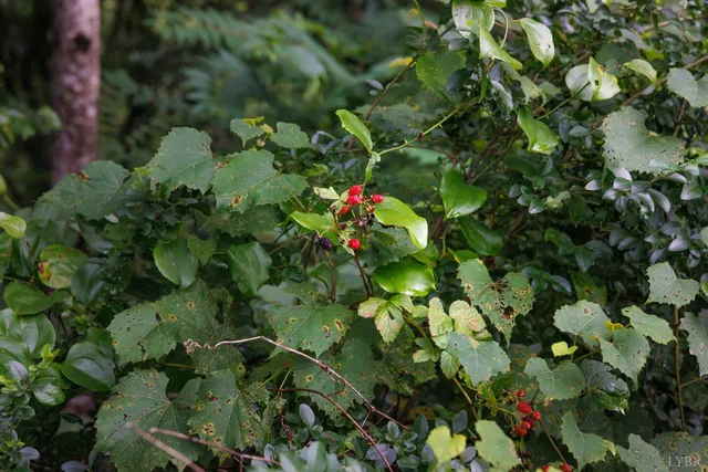 a ocean view with a beach