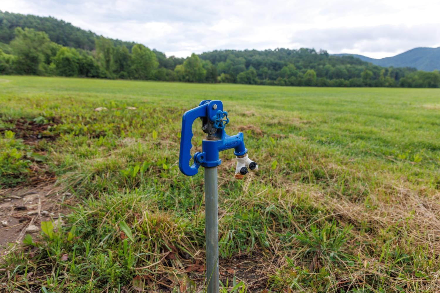 0 41 News Road Eagle Rock, VA 24085 - Photo 39 of 51 a fire hydrant in middle of the middle of a field
