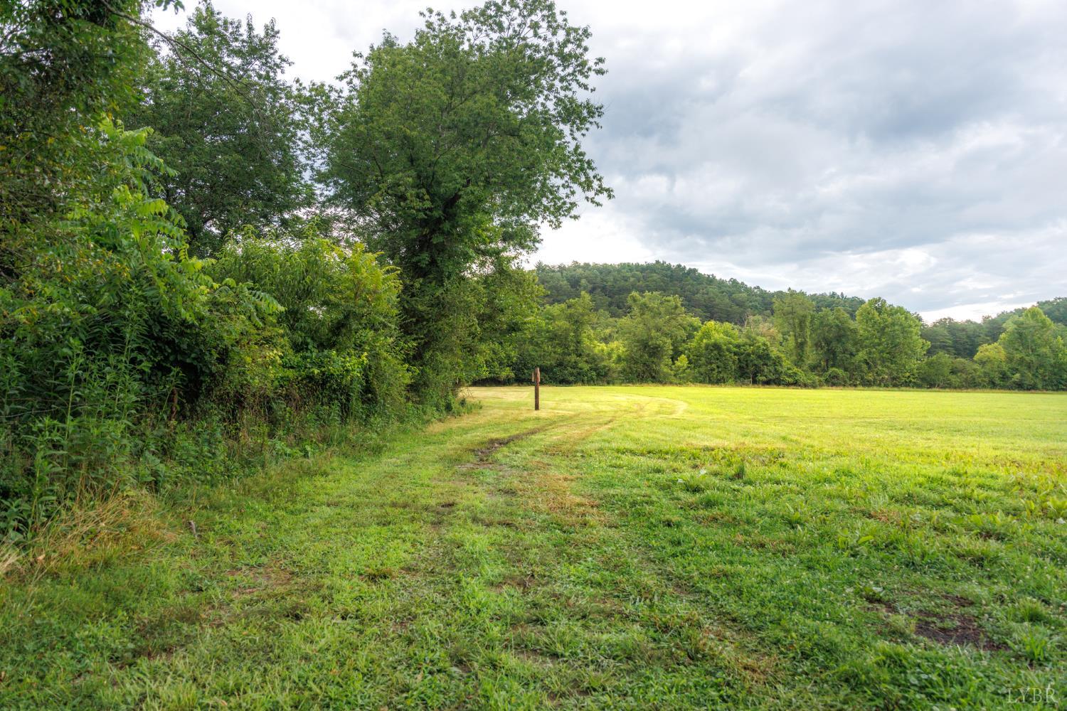 0 41 News Road Eagle Rock, VA 24085 - Photo 40 of 51 a view of outdoor space and yard