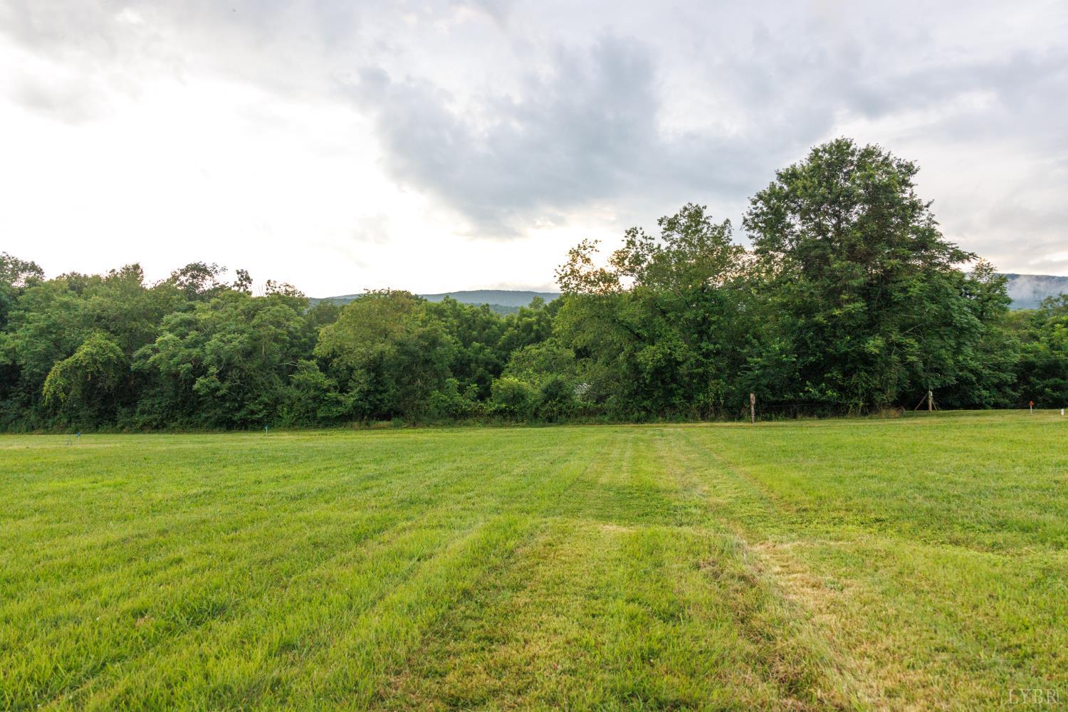 0 41 News Road Eagle Rock, VA 24085 - Photo 4 of 51 a view of grassy field with trees