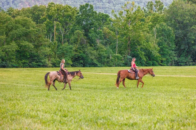a view of yard with green space and outdoor seating