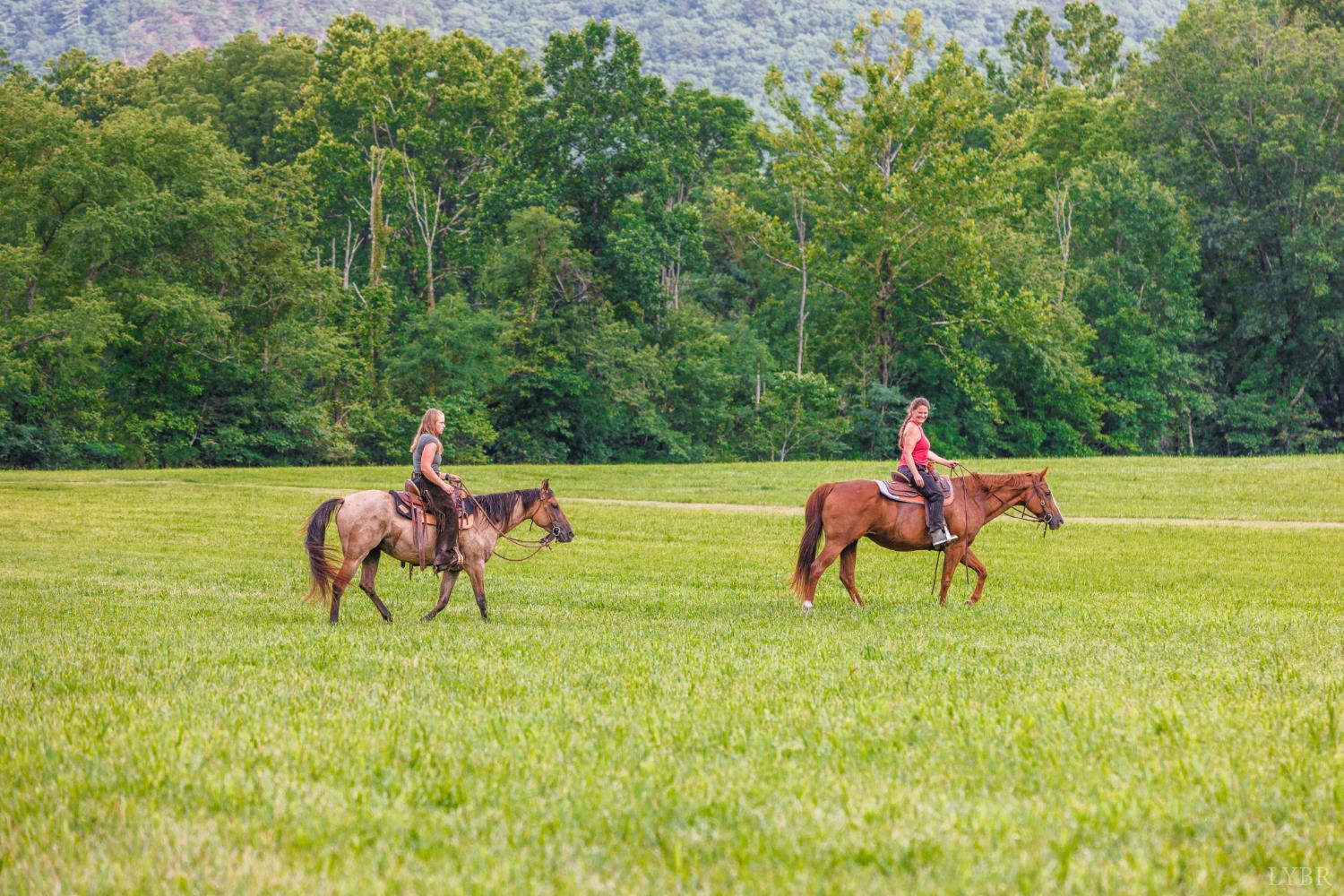 0 41 News Road Eagle Rock, VA 24085 - Photo 7 of 51 a view of yard with green space and outdoor seating