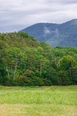a view of an outdoor space and a yard