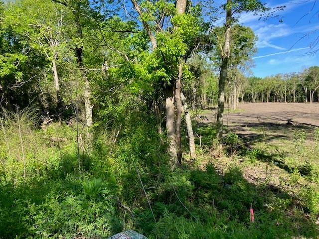 0 Stanton Road New Orleans, LA 70131 - Photo 3 of 6