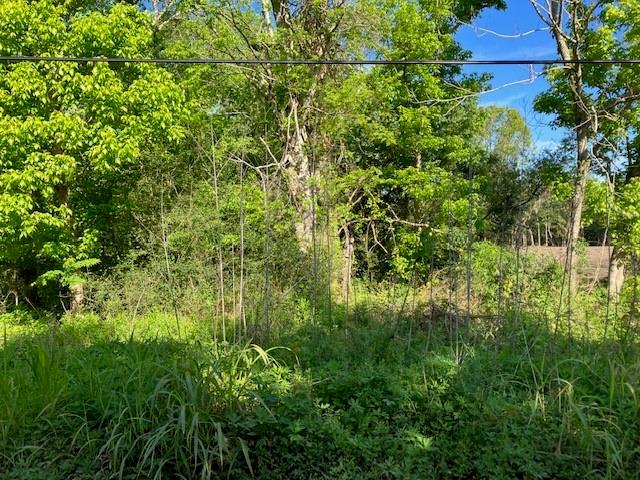 0 Stanton Road New Orleans, LA 70131 - Photo 5 of 6