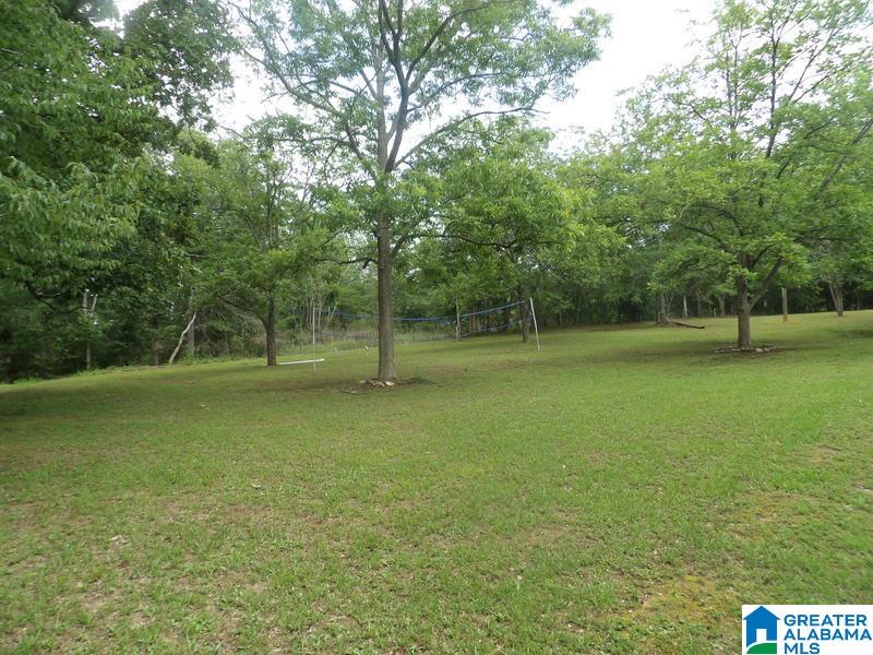 2950 McIntosh Road Oxford, AL 36203 - Photo 3 of 29