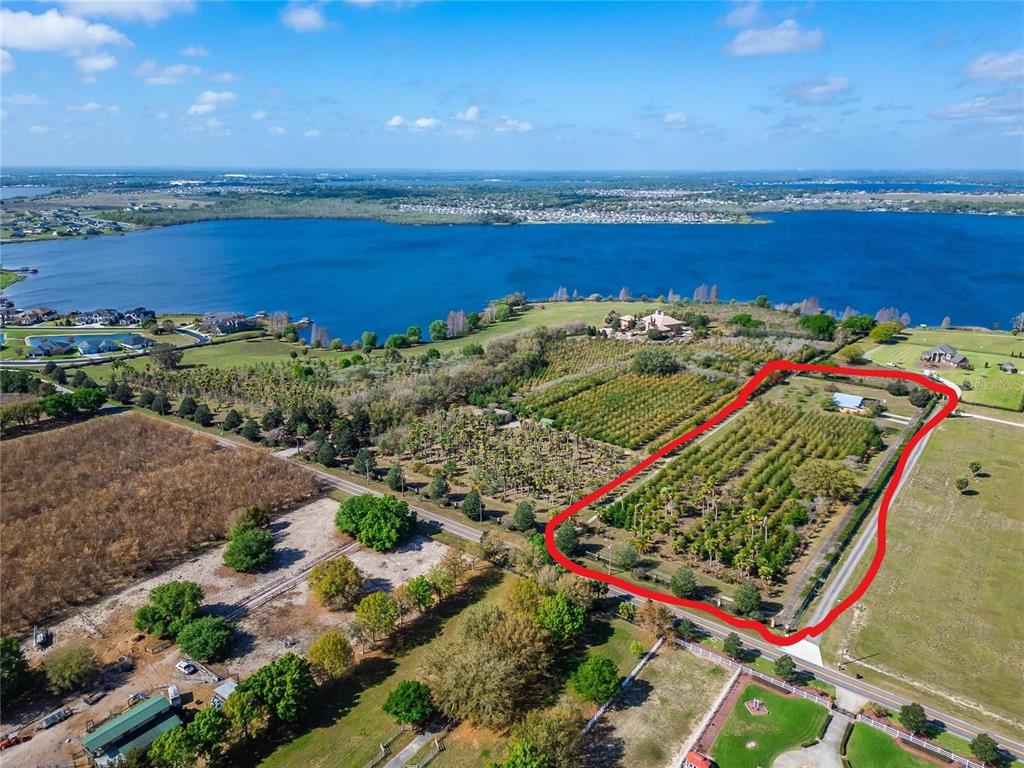 Adams Barn Road Lake Alfred, FL 33850 - Photo 3 of 16 Gallery Image 3