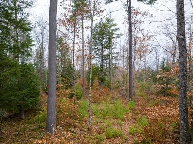 $155,000 | 0 North High Street, Bridgton, ME 04009