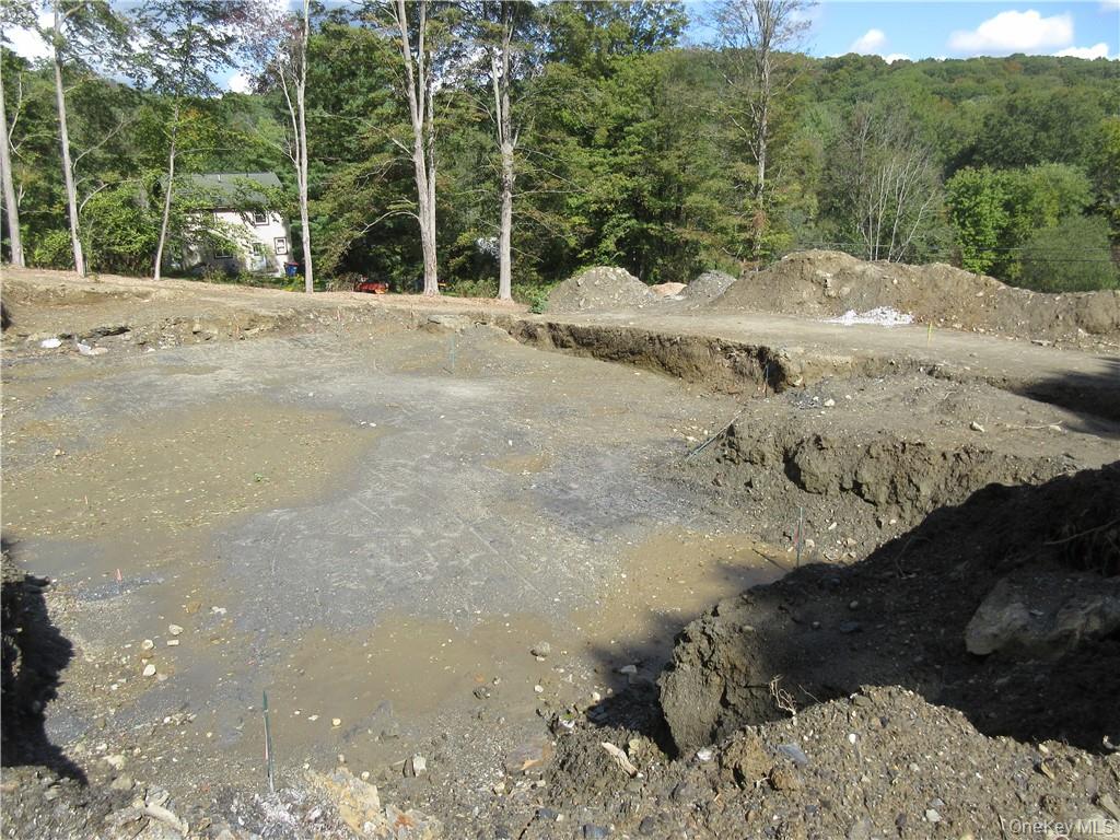 565 Halls Corners Road Dover Plains, NY 12522 - Photo 12 of 19 a view of a yard with a large tree