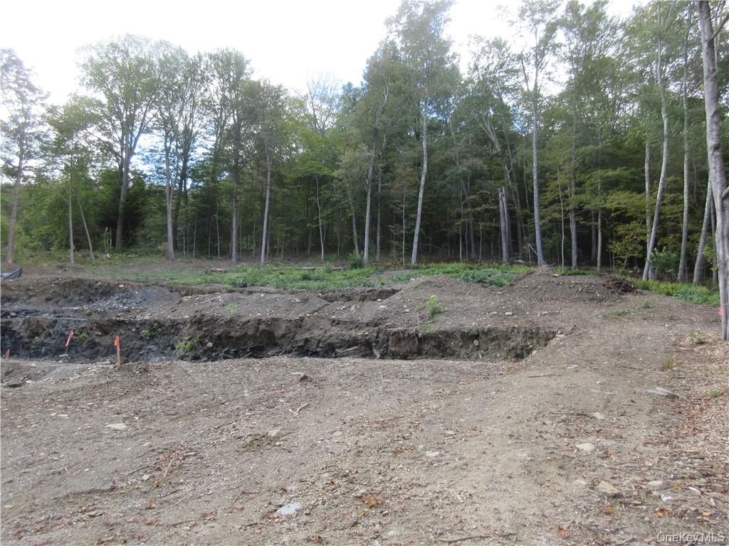 565 Halls Corners Road Dover Plains, NY 12522 - Photo 14 of 19 a view of a forest with trees in the background