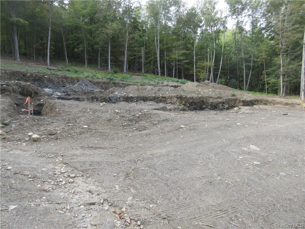 565 Halls Corners Road Dover Plains, NY 12522 - Photo 15 of 19 a view of outdoor space with trees all around