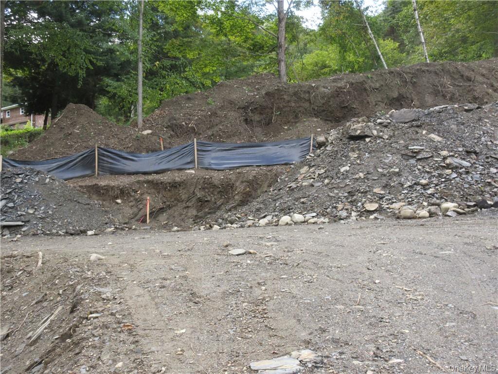565 Halls Corners Road Dover Plains, NY 12522 - Photo 16 of 19 a view of a dry yard with trees