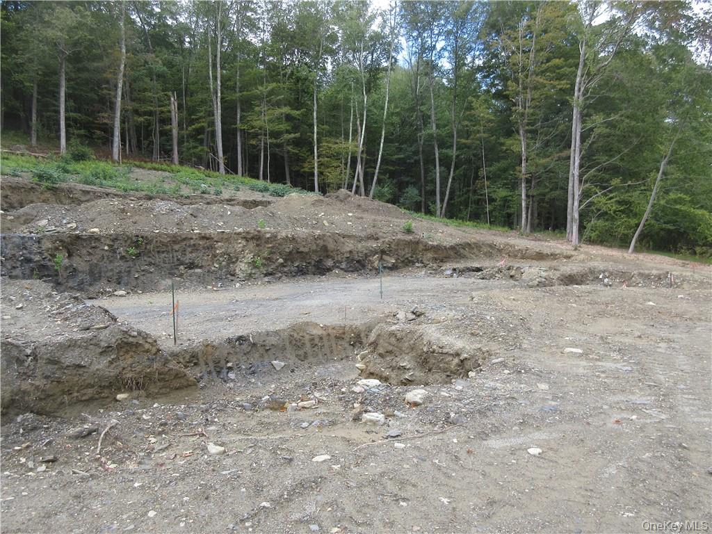 565 Halls Corners Road Dover Plains, NY 12522 - Photo 17 of 19 a view of a backyard with plants